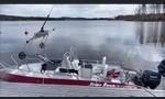 Silver Hawk 520-kuva-3